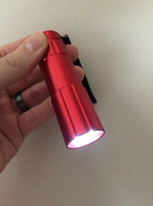 The flashlight used in this experiment